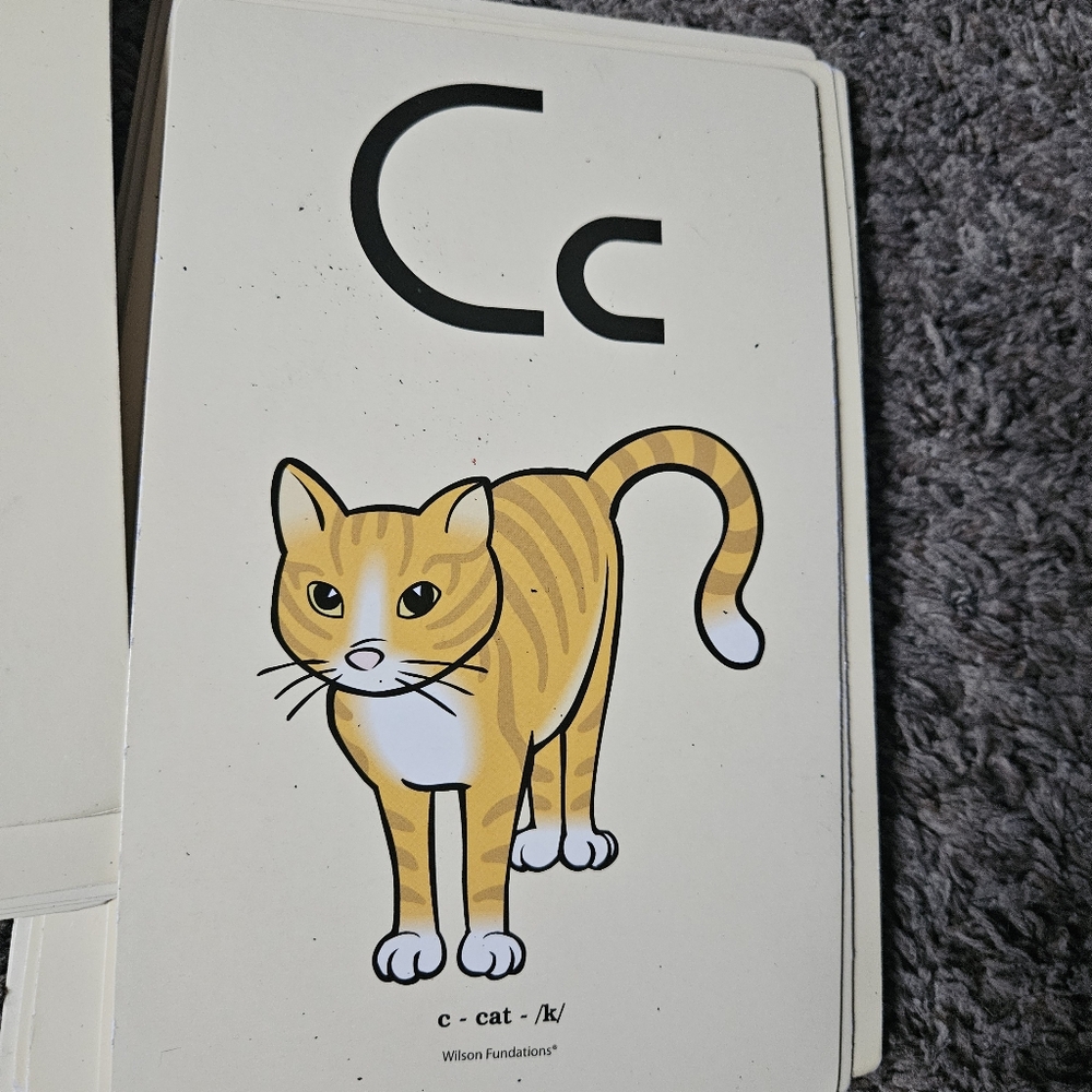 Picture Cards - Picture 14 of 16